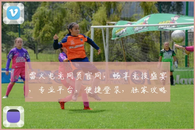 雷火电竞网页官网，畅享竞技盛宴，专业平台，便捷登录，独家攻略，三重福利，等你来战